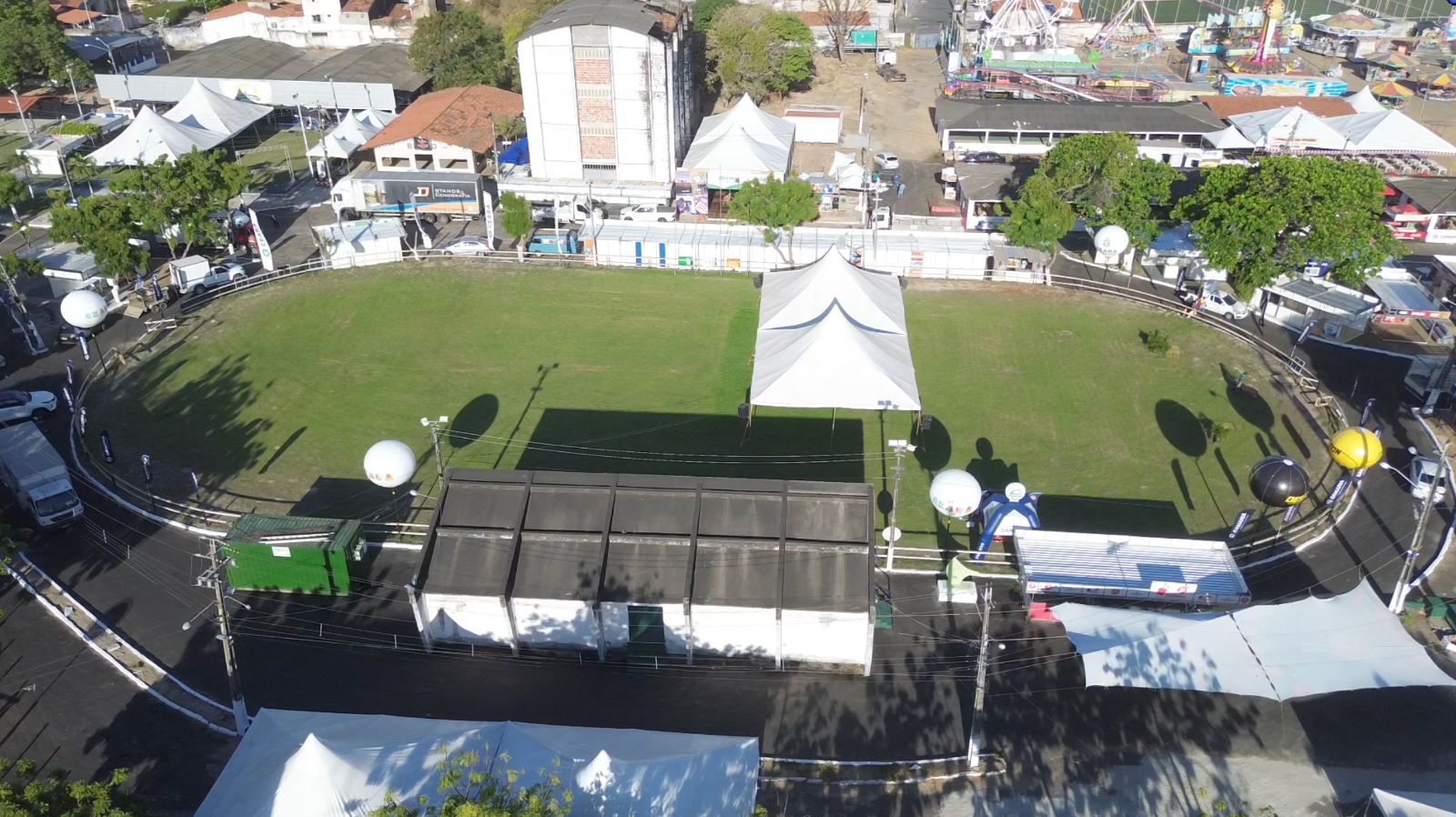 Bovinos zebu expostos no galpão de animais da Expoece